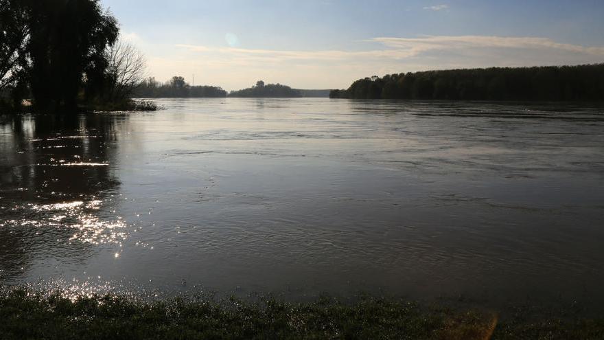 Guastalla, corridoi verdi e navigazione: al vaglio 68 progetti per il Po