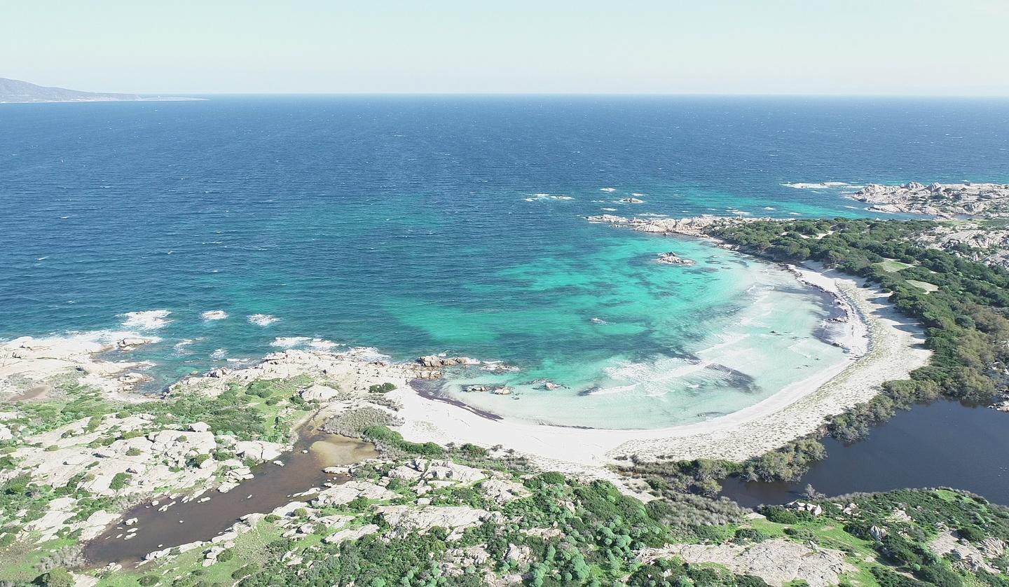L’Asinara incanta le città d’arte 
