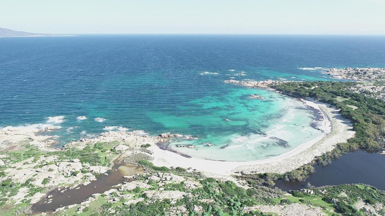 L’Asinara incanta le città d’arte