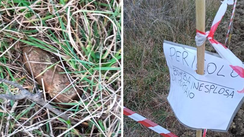 Va a spasso tra gli ulivi col metal detector e scova un mortaio inesploso
