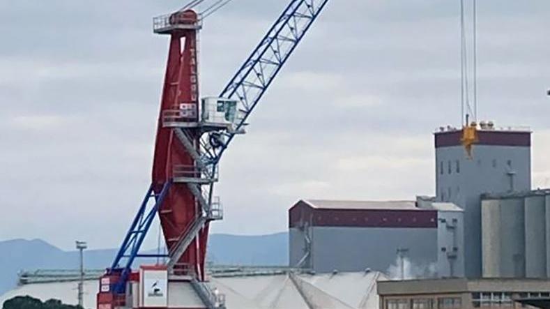 Nuova gru da 80 tonnellate al porto 