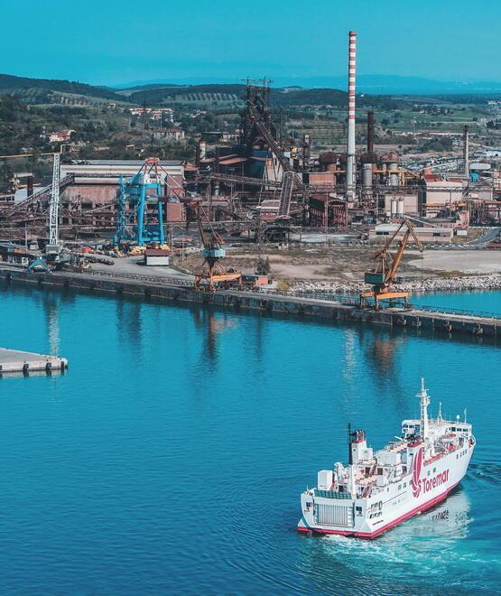 Una veduta del porto industriale di Livorno (Foto Marzi/Archivio Tirreno)