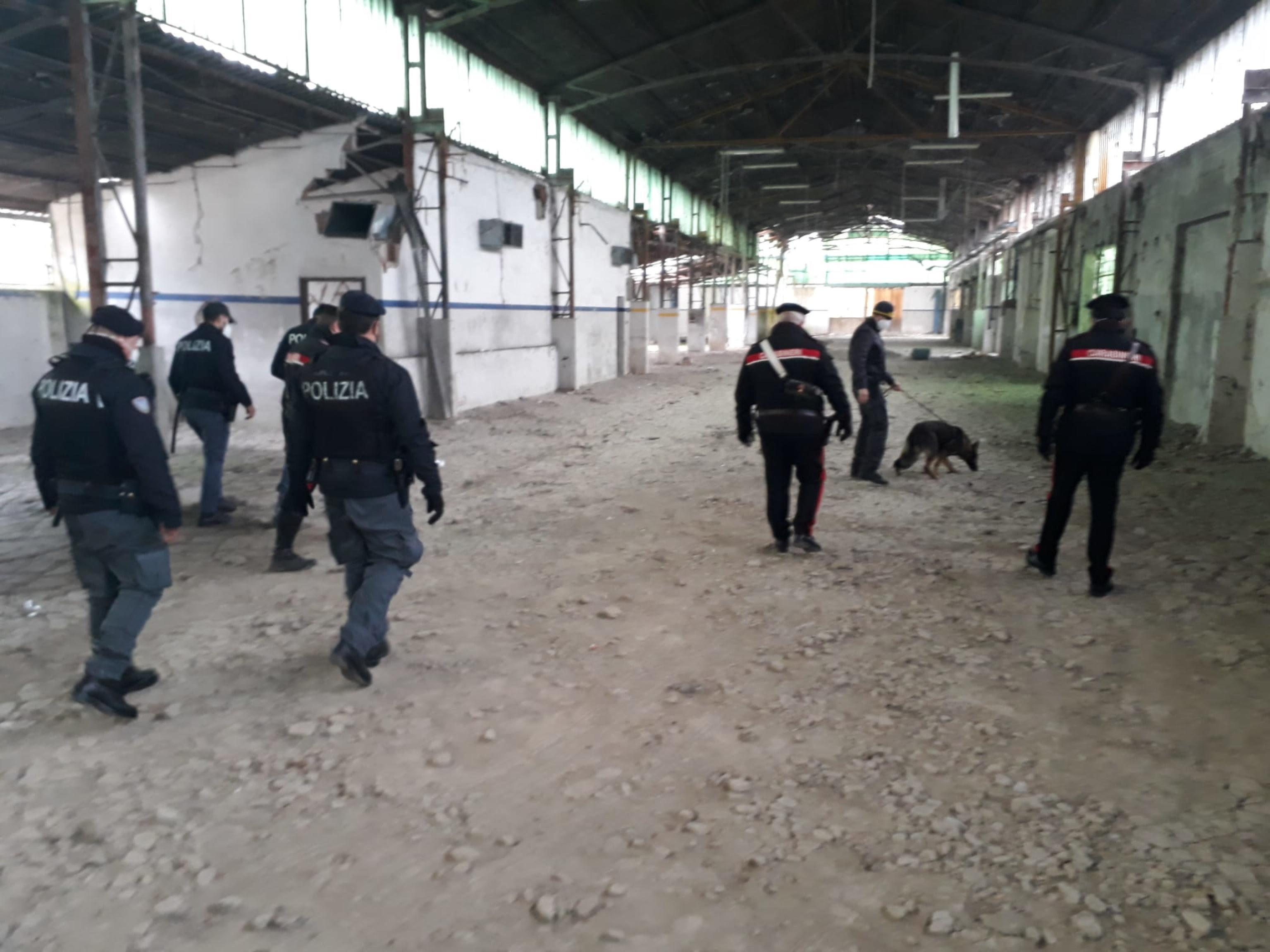I carabinieri insieme alla polizia nel luogo del rave