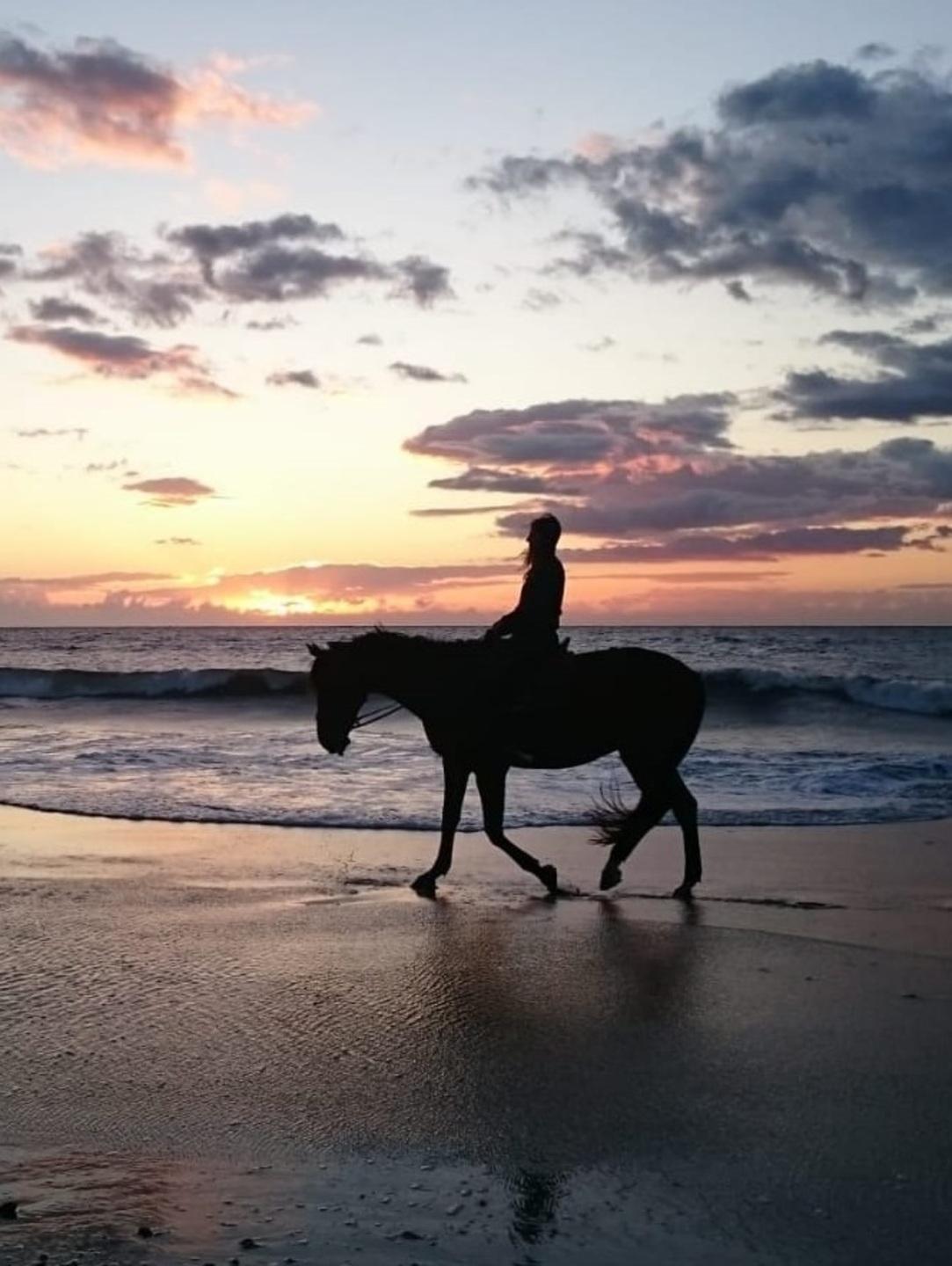 Arborea vuole 87mila euro dalla Provincia 