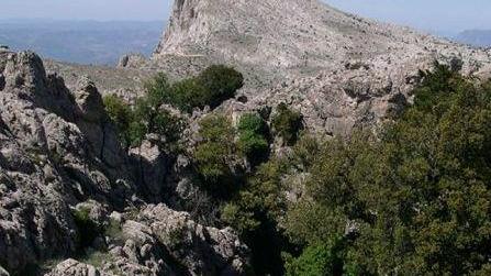 Cade e parte una fucilata: muore 58enne