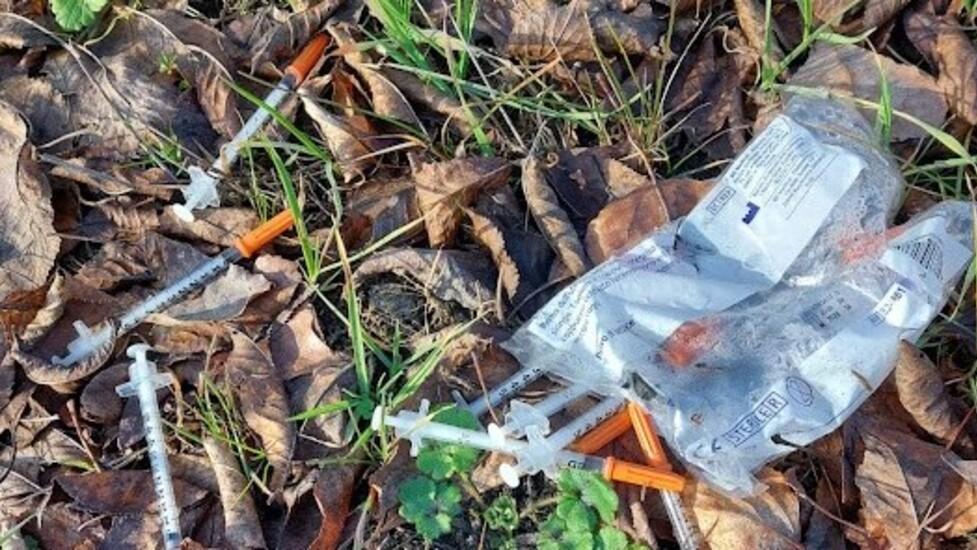 Modena. Siringhe usate nell’area giochi Paura per un bimbo di 4 anni al Bonvi Parken
