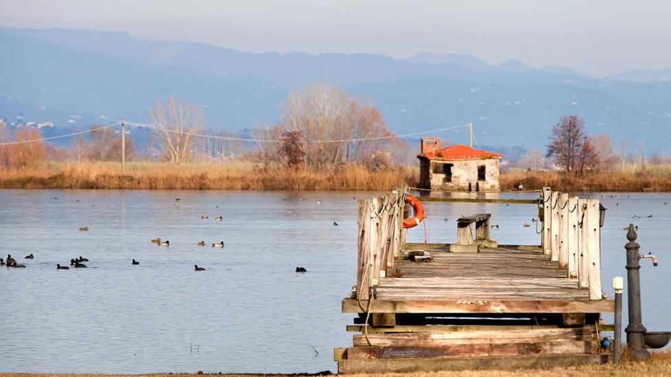 Lago di Bientina, area da valorizzare: «Basta viaggiare in ordine sparso»