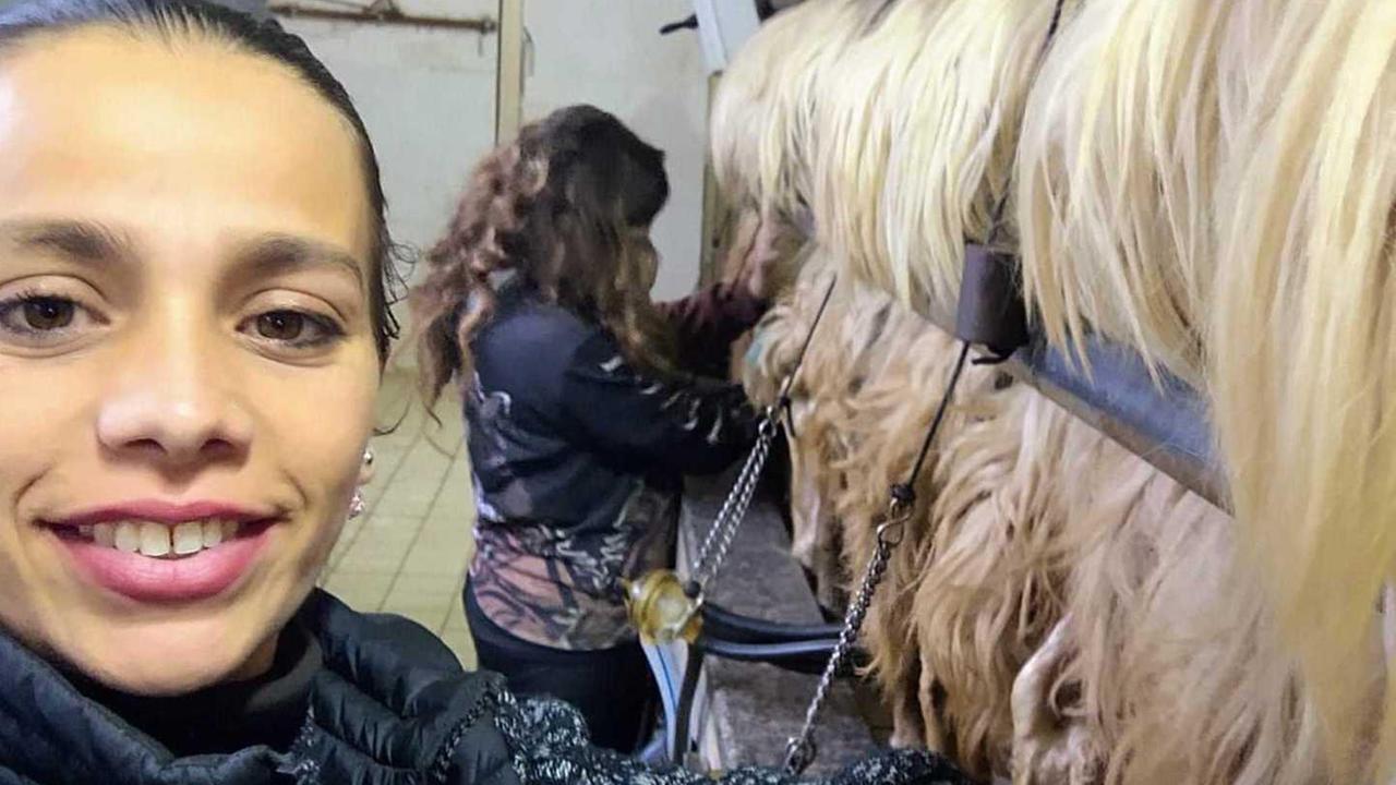 Cinzia Conteddu, 32 anni: la sua azienda conta 250 pecore oltre a mucche e maiali