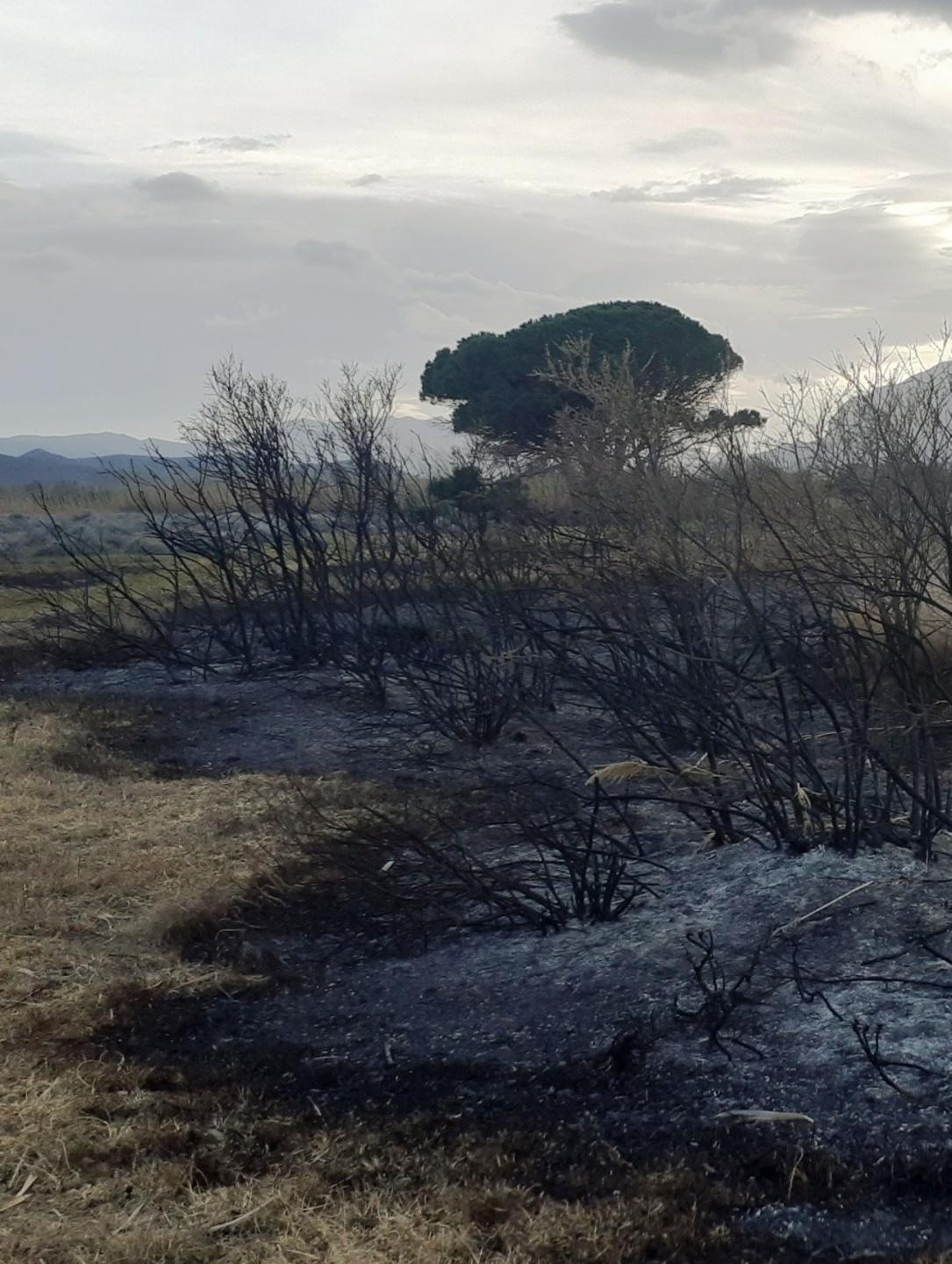 Incendio nella spiaggia dei due pini 