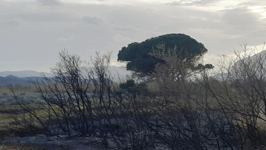 Incendio nella spiaggia dei due pini