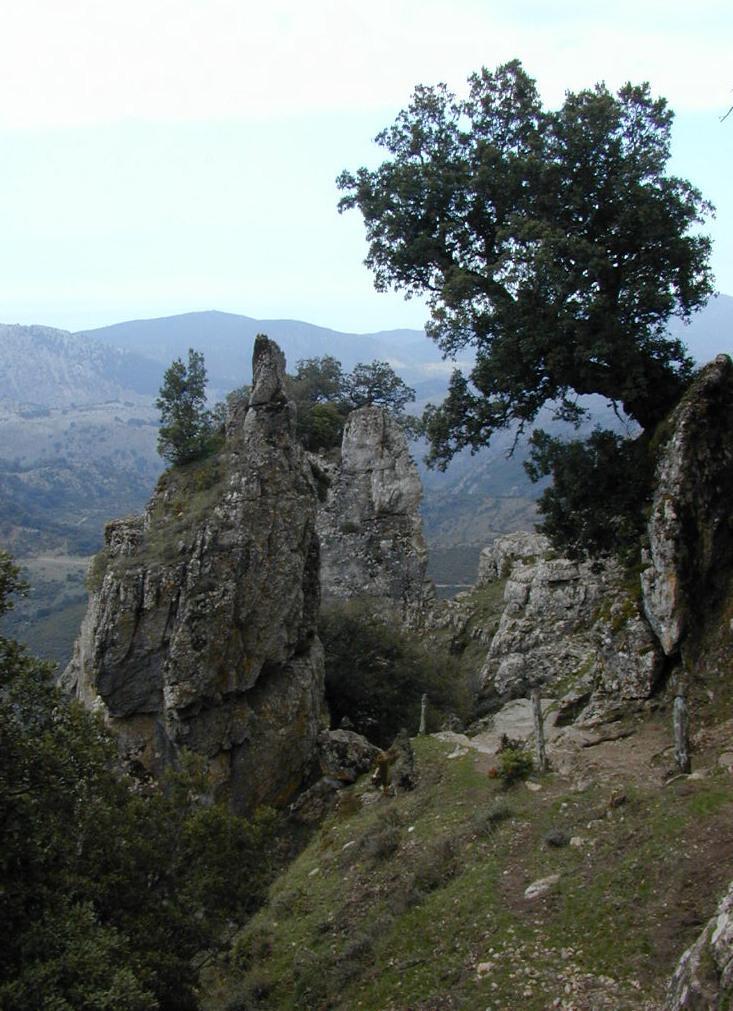 «Gennargentu, ora il rilancio del parco» 