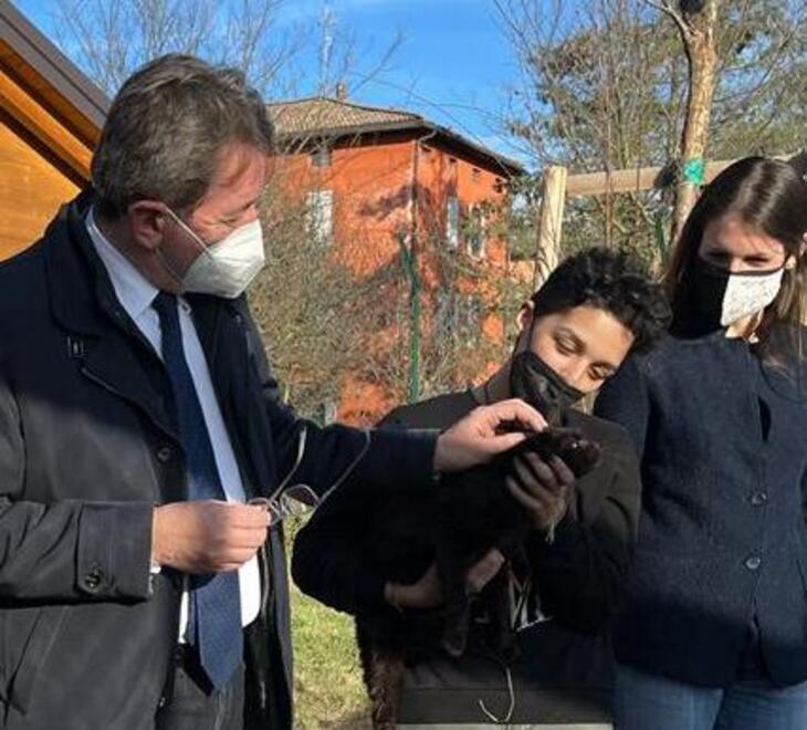 Modena. Oasi e casette in legno Ecco il nuovo gattile 