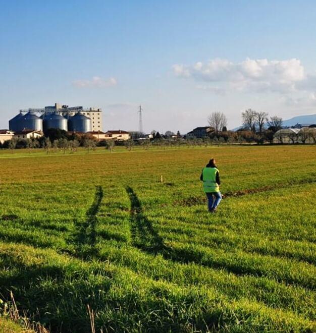 Assi, dialogo tra Anas e Rfi per risolvere i punti più critici 