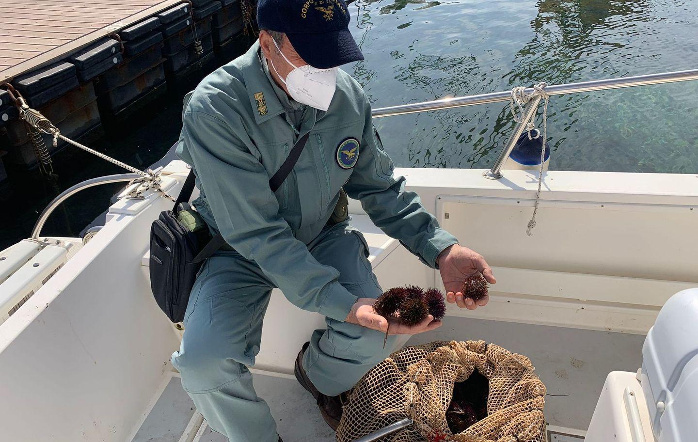 Bloccati all’alba con 300 ricci: sub denunciati 