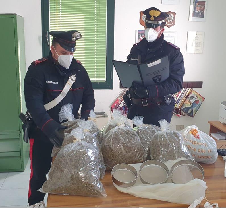 Nell'armadio 23 chili di marijuana: a Loiri Porto San Paolo arrestato un 60enne