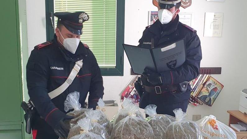 Nell'armadio 23 chili di marijuana: a Loiri Porto San Paolo arrestato un 60enne