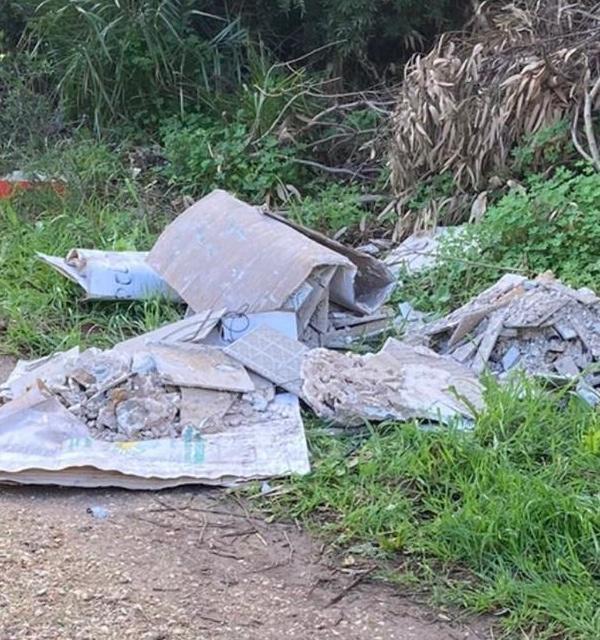 Andrà avanti fino a maggio la manutenzione della pineta