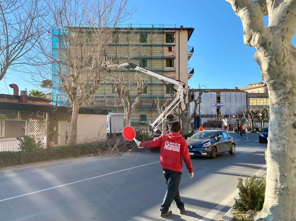 I lavori sono partiti con la potatura in via Vittorio Emanuele, piazza Marinai e viale Manzoni (foto Giò Di Stefano)