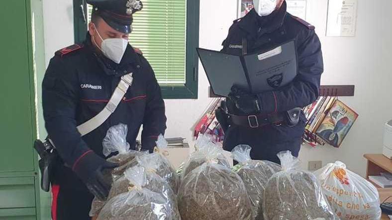 In casa 23 chili di marijuana: arrestato