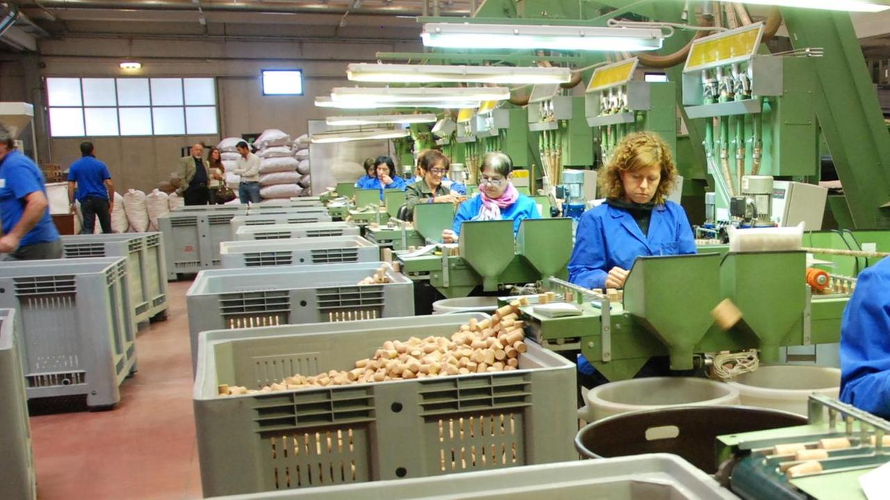 «Filiera del sughero un piano condiviso per il vero rilancio»