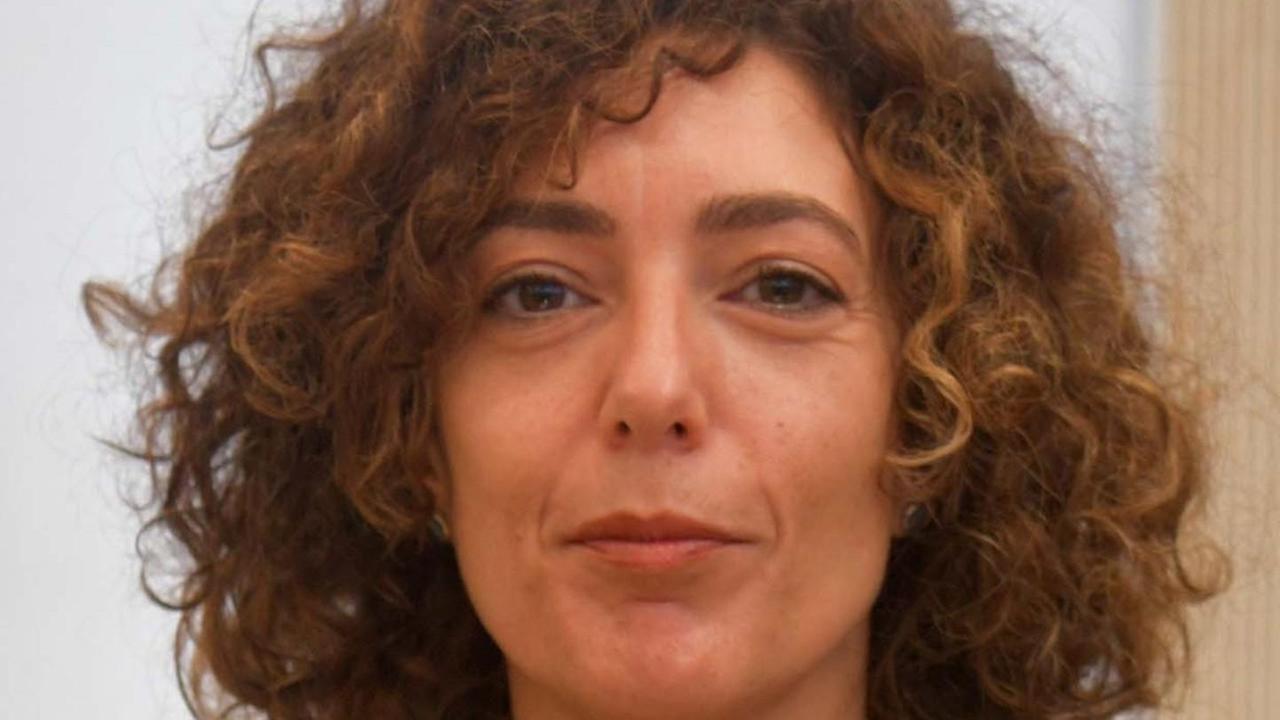 Insegne parla Ambrosio: «Assente? Sì, per lavoro»