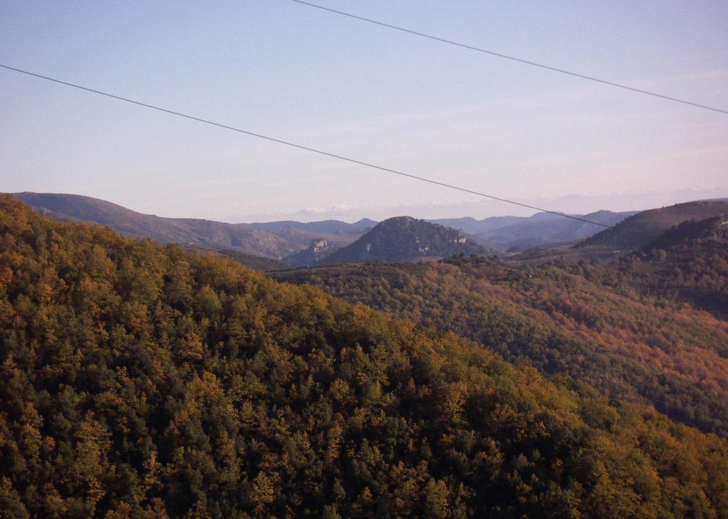 Accordo Forestas-Comune per Girgini 