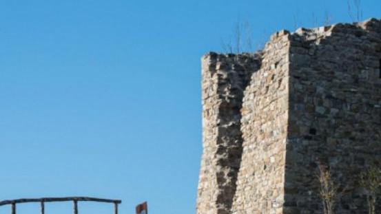 Maranello «Quei tre cani mi hanno aggredita vicino a Fogliano, fate qualcosa»
