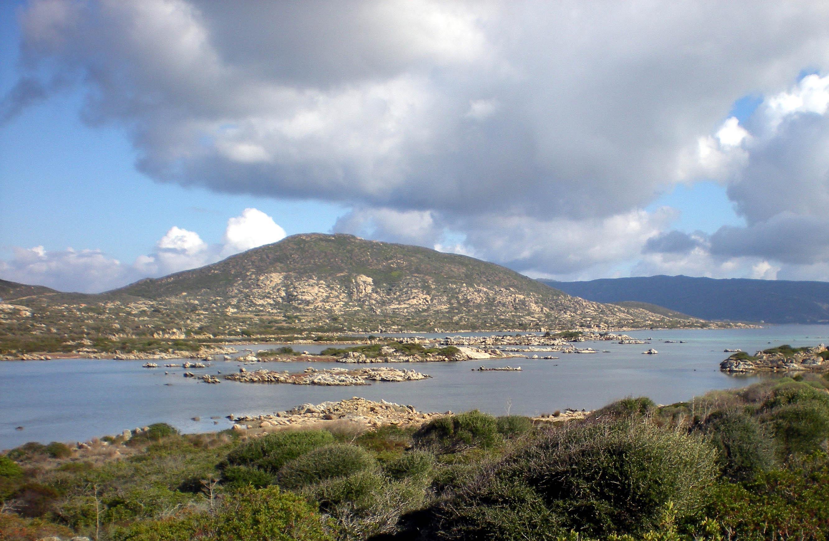 Porto Torres, 600 metri di reti fantasma recuperati dai sub della Guardia costiera