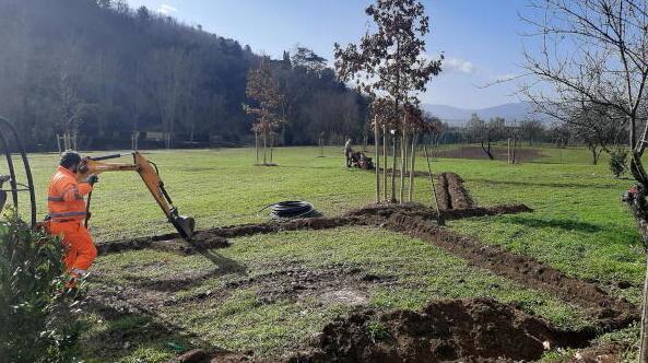 Nuovi alberi per il “Giardino di Mattia” 