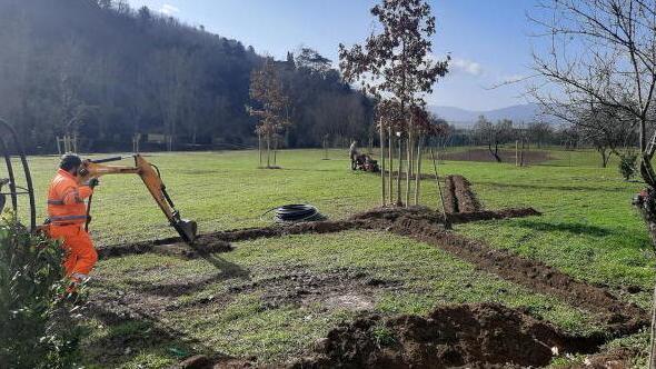 Nuovi alberi per il “Giardino di Mattia”