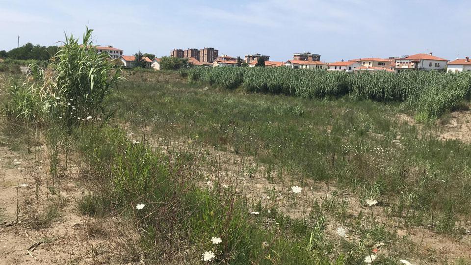 Uno dei terreni usati per le vasche di espansione del rio