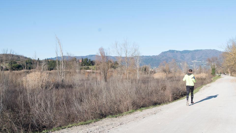 La zona della sponda sinistra del Serchio dove partirà il ponte (foto ilaria genovesi)