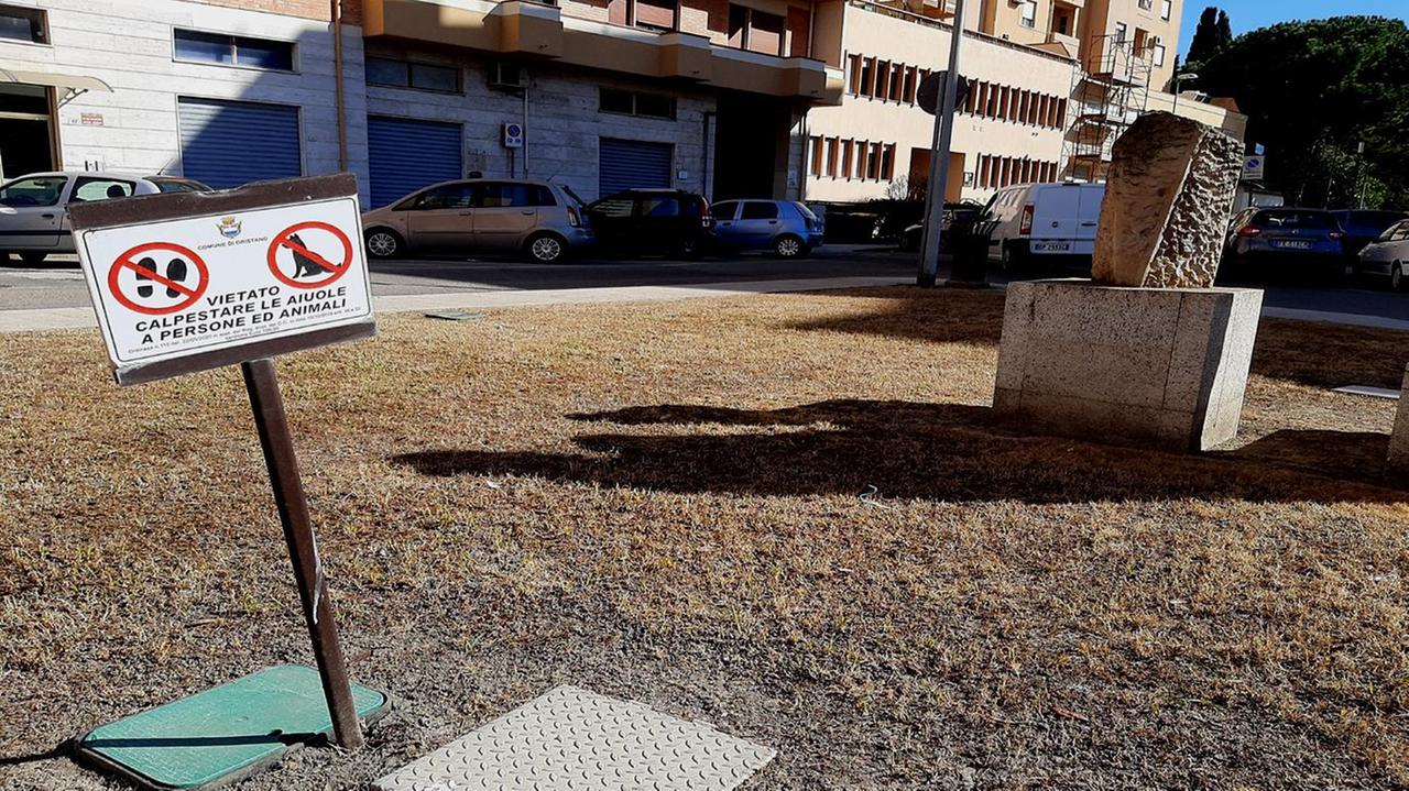 Vietato calpestare il prato, giallo