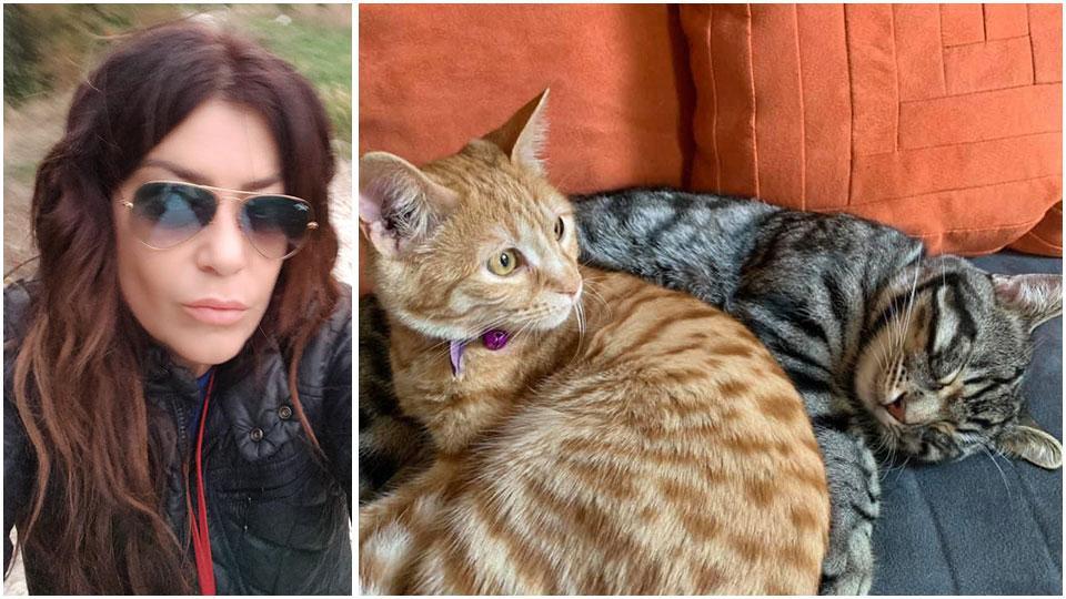 La neurologa e criminologa Giovanna Bellini e Sceriffa e Bandito i due mici scomparsi tra fine marzo e aprile