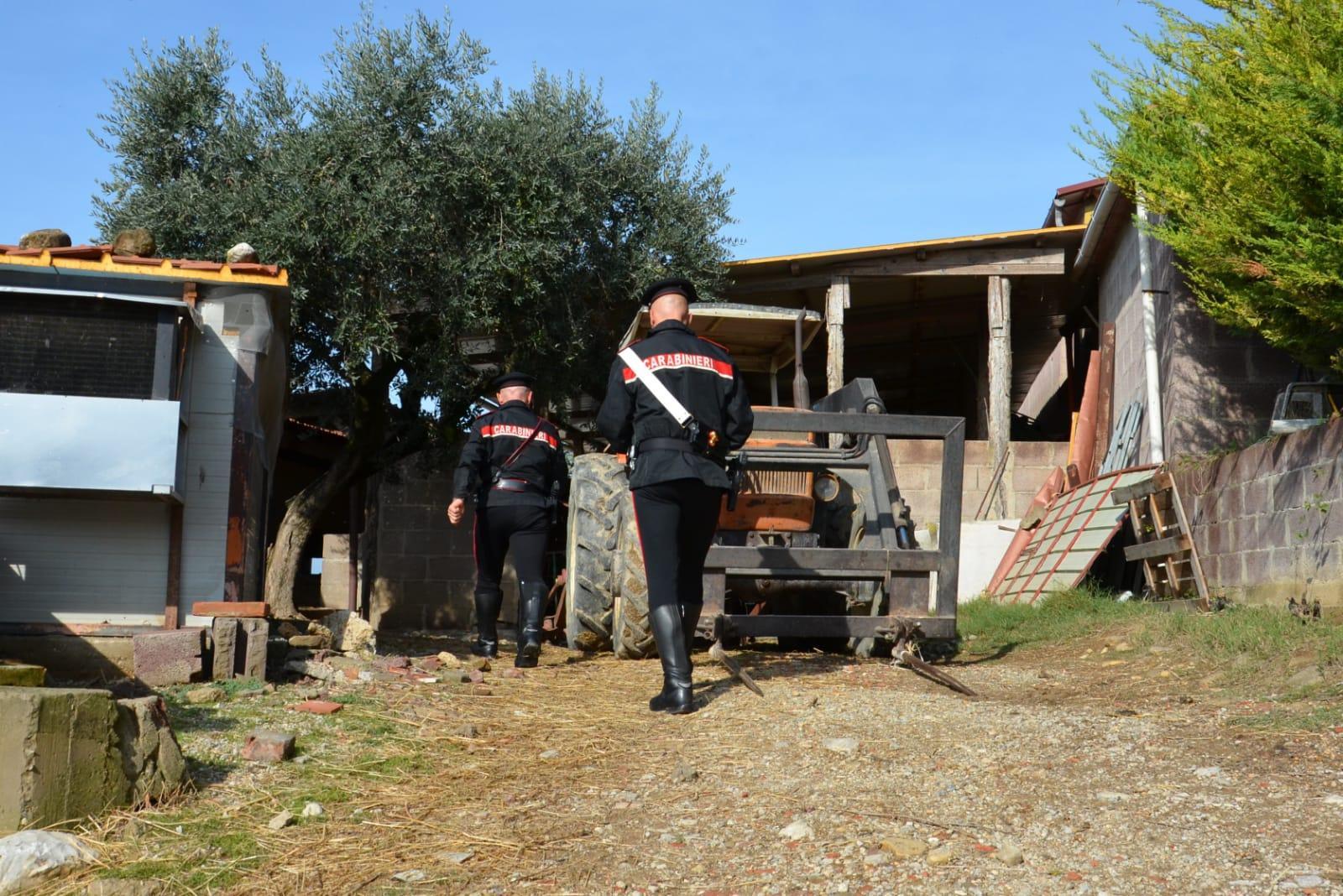 Carbonia, i carabinieri arrestano una ladra di polli