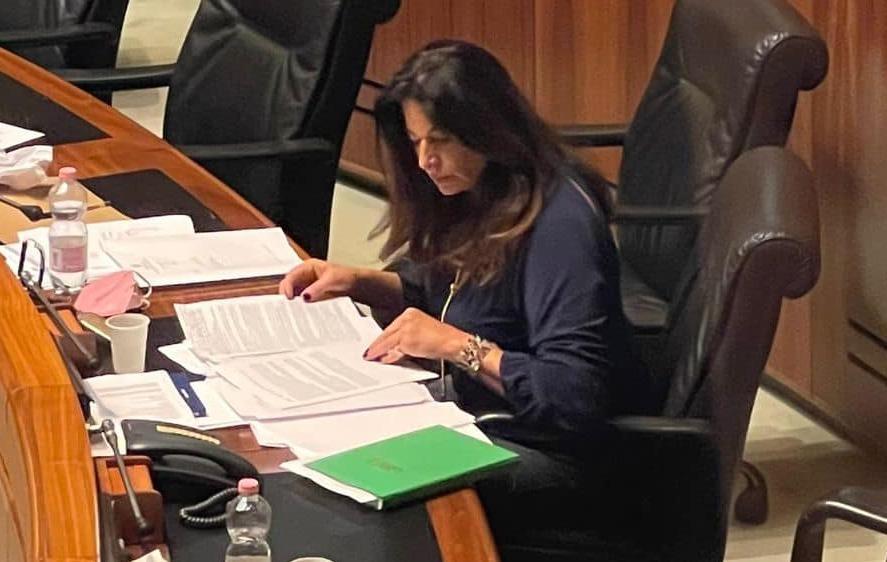 Murgia: «Regione vicina ai pastori» 
