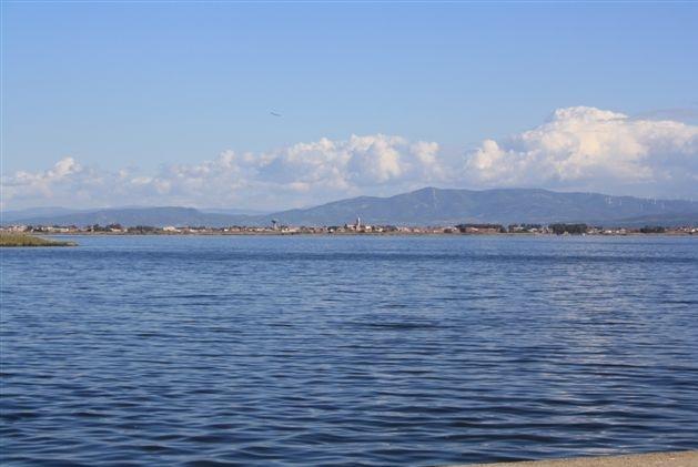 Interventi sullo stagno di Santa Giusta 