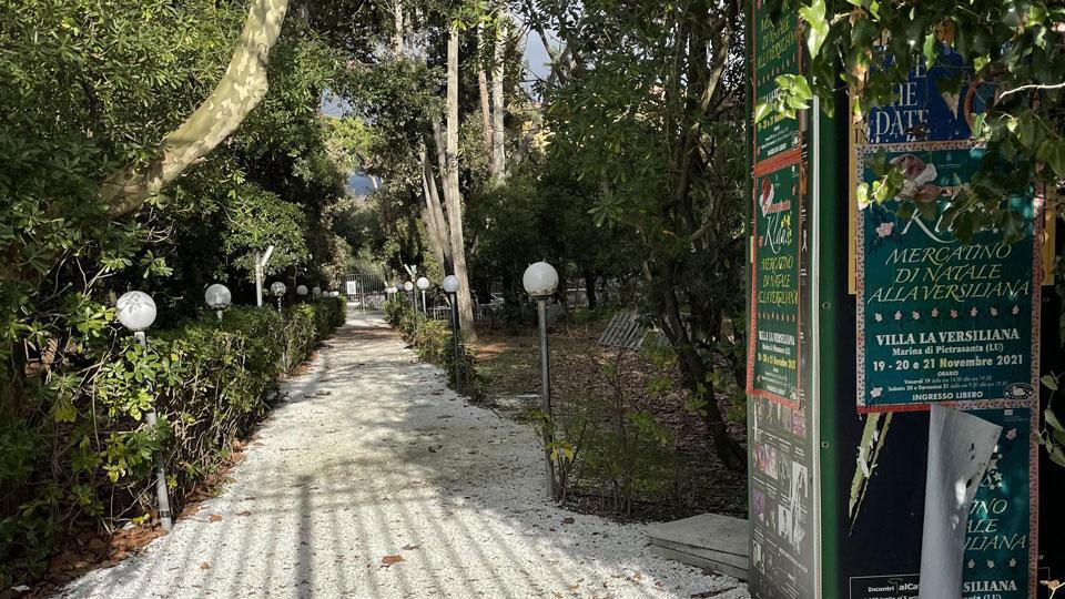 Il bosco tra il viale a mare e viale Morin all’ingresso della Versiliana