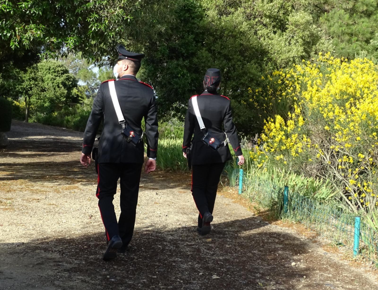 Sestu, va a cercare asparagi in campagna e trova quattro fucili