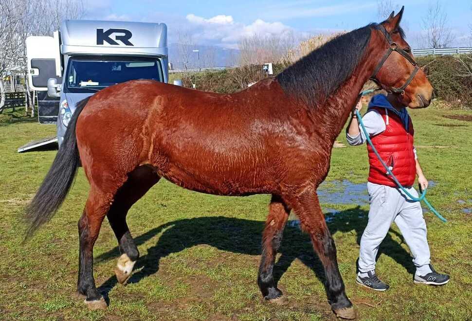 Rosa la “Carabiniera” si godrà la sua pensione in mezzo a tanti bambini
