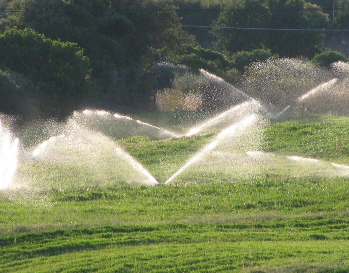 Agricoltori contro il Consorzio 
