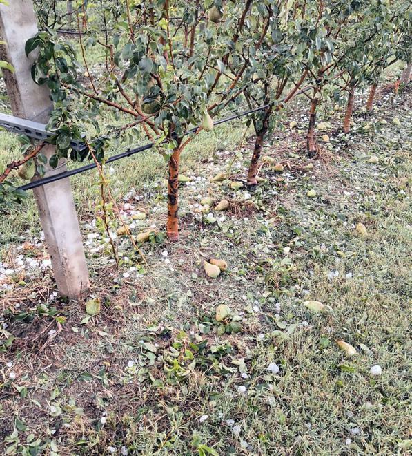 Danni climatici, polizze alle stelle per gli agricoltori. Spese assicurative aumentate del 50% 