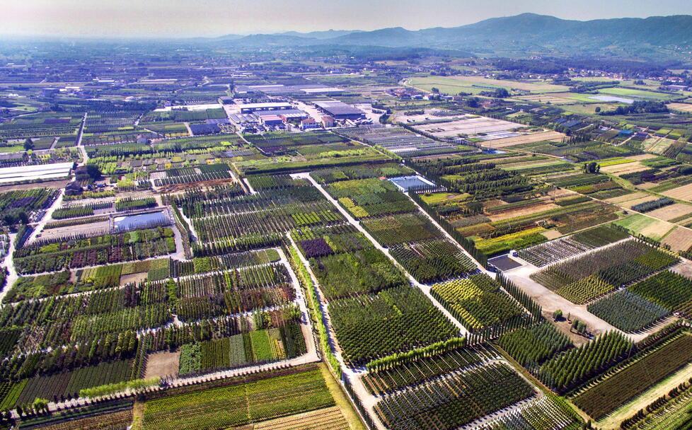 I vivaisti pistoiesi alla conquista di Prato per trovare nuovi terreni da coltivare 