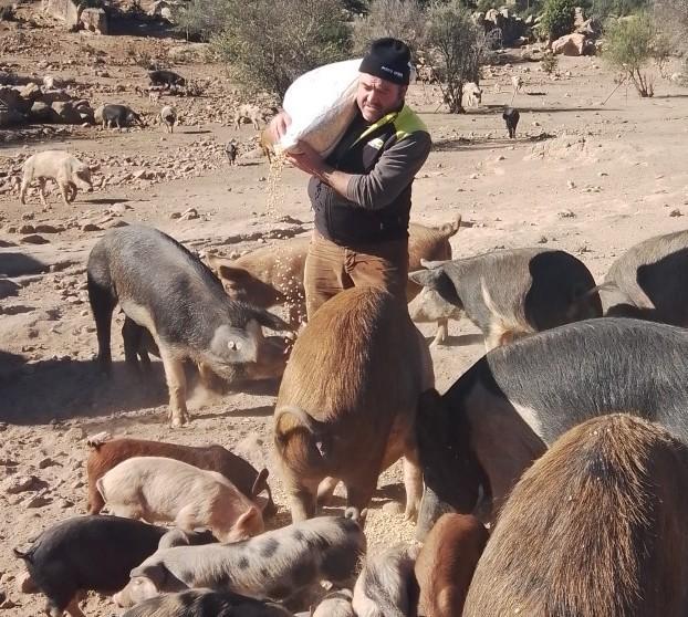 Le proteste di Arzu smuovono Argea sbloccati i contributi Ue dell’allevatore