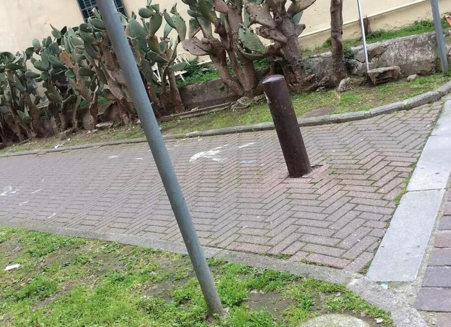 Il punto a Porta a Mare dove vengono rubati i fiori