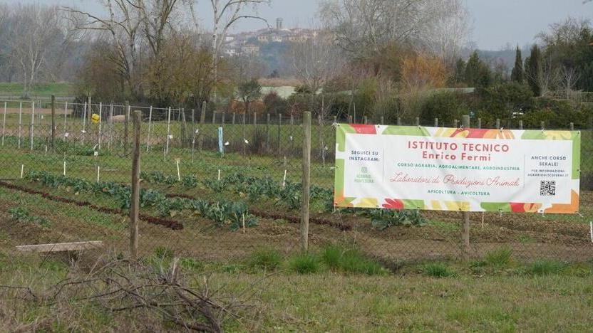 Gli orti coltivati dagli studenti dell’Istituto Fermi a Pontedera (foto Franco Silvi)