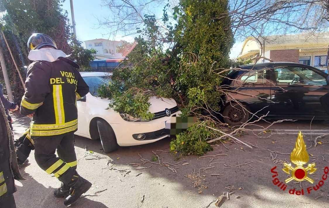 Albero cade su due auto parcheggiate 