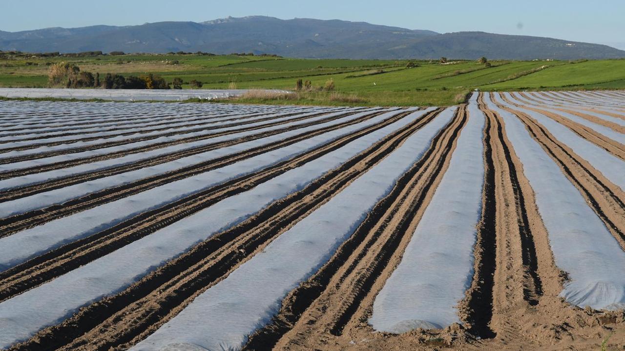 Consorzio di Bonifica «Ecco i soldi per i precari»