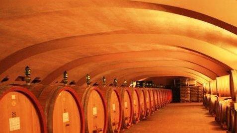 Fatturato record da 10 milioni di euro alla Cantina sociale