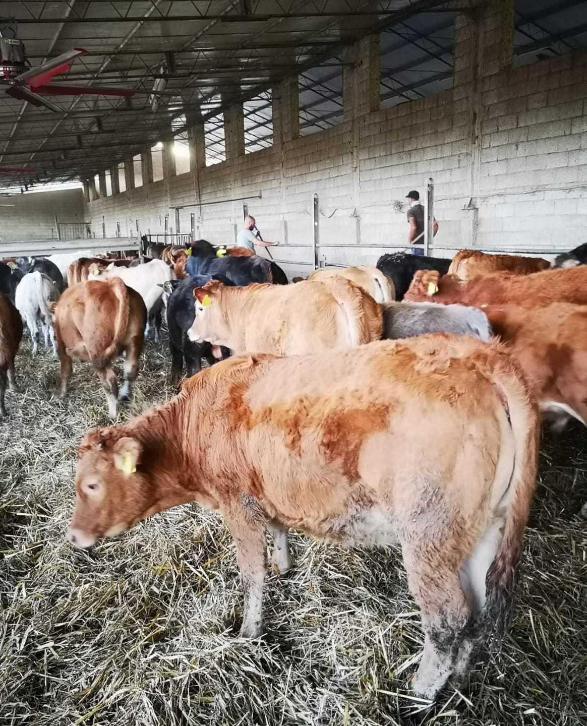 Il Distretto delle ruralità si allarga anche ai privati 